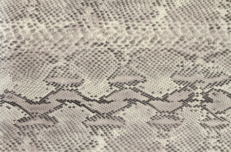 Background snake skin