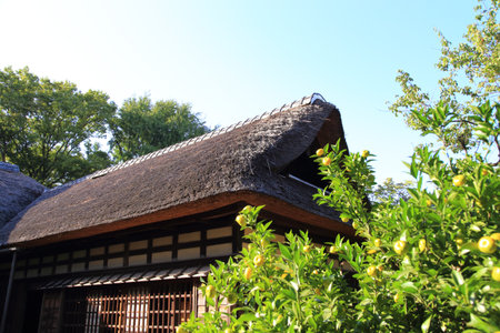 Straw roof of Japanese old folk houseの写真素材