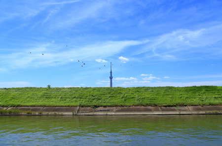 Blue sky with Tokyo Skytreeの写真素材