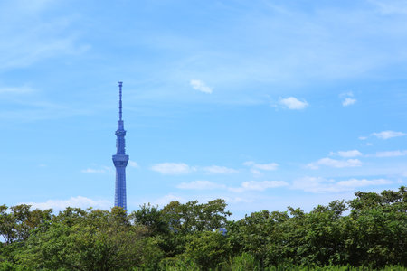 Tokyo Skytree with green treesのeditorial素材
