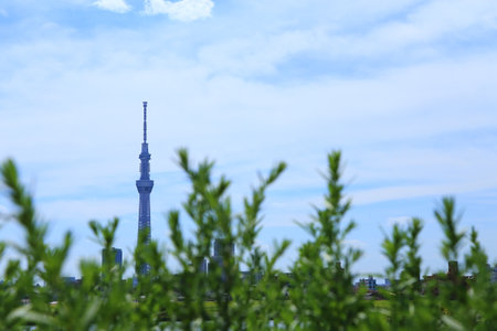 Tokyo Skytree with green leavesのeditorial素材