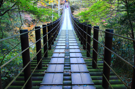 Suspension bridge in autumn forest