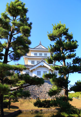 Oshiki Japanese Castleのeditorial素材