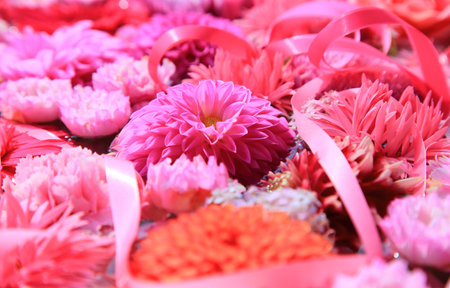 Flower Arrangement Pink Flowersの写真素材