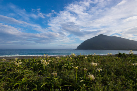 Beaches and blue skiesの写真素材