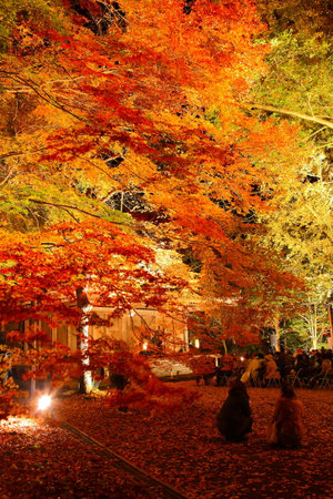Autumn colors light up the temple