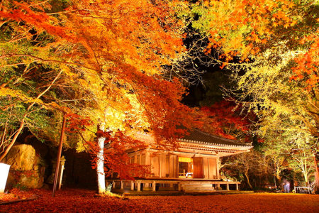 Autumn leaves of the temple lit up (Bungo-Takada City, Oita Prefecture)のeditorial素材
