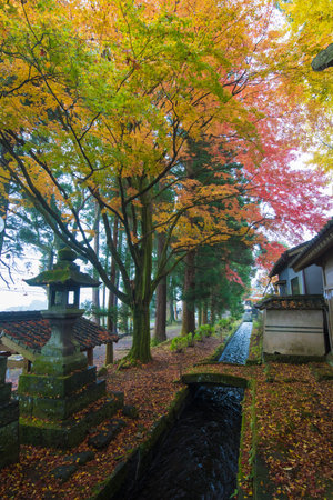 Autumn leaves of Shirohara Shrine (Takeda City, Oita Prefecture)のeditorial素材