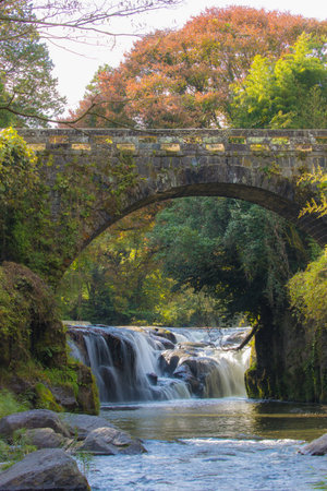 Autumn leaves of Yonega Falls (Takeda City, Oita Prefecture)
