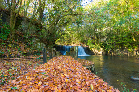 Autumn leaves of the waterfall of the pit (Takeda City, Oita Prefecture)の写真素材