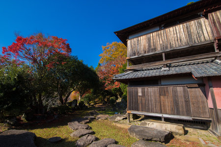 Autumn leaves of Suehiro Shrine (Gensu Town, Oita Prefecture)のeditorial素材