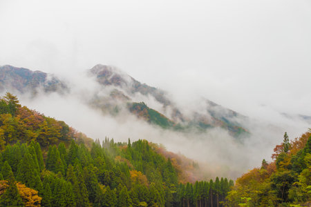 癒しの風景の写真 イラスト素材一覧 3 452件 ストックフォトのamanaimages Plus