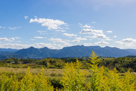 Mountains and grasslands (Yufu, Oita)の写真素材