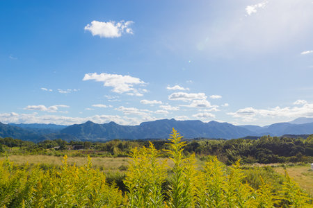 Mountains and grasslands (Yufu, Oita)の写真素材