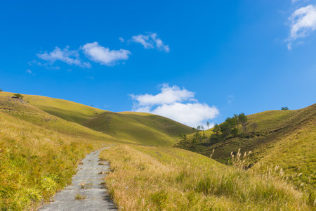 Path in the mountains under a blue sky with white clouds. Summer landscapeの写真素材