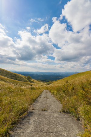 Hiking trail on a hillside in the Carpathian mountainsの写真素材
