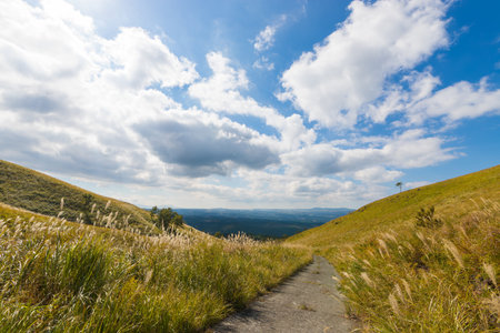 Hiking trail in the mountains. Beautiful summer landscape. Carpathiansの写真素材