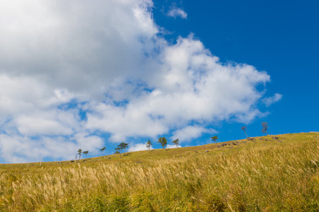 Grassland in the mountains with blue sky and white clouds.の写真素材
