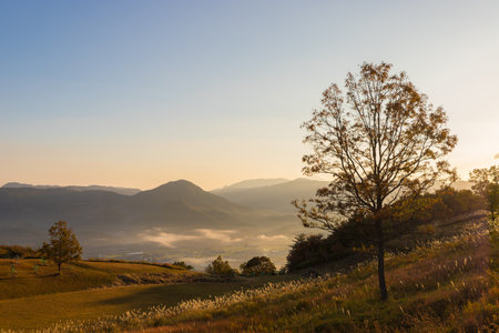 Sunrise in the morning at Phu Chi Fa, Loei, Thailandの写真素材