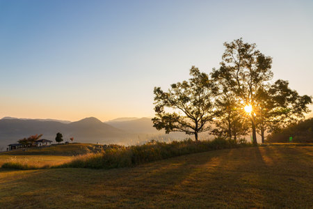 Sunrise in the morning at Phu Kradueng National Park, Loei, Thailandの写真素材