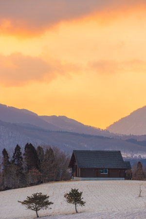Beautiful winter landscape and dawn with snow-capped mountains in the backgroundの写真素材