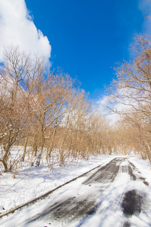 Winter landscapeの写真素材