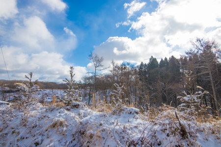 Winter landscape with snowy field and blue cloudy sky. Beautiful nature background.の写真素材