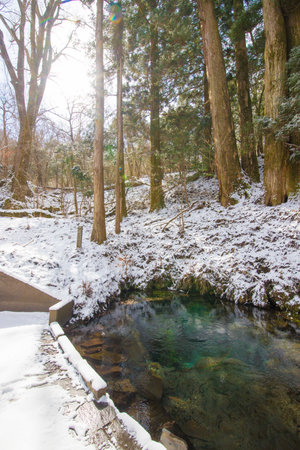 Winter landscape with river and treesの写真素材