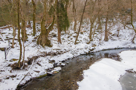 Stream in the forest in winter. Winter landscape. Snow covered trees.の写真素材