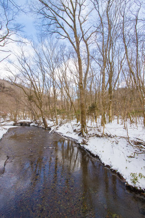Winter landscape with a small river and bare trees in the forest.の写真素材