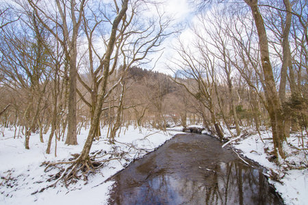 Beautiful winter landscapeの写真素材