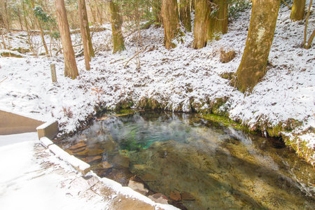 Winter landscape with a river and trees covered with snow and blue skyの写真素材