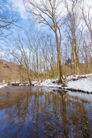 River in the forest on a sunny winter day. Landscape.の写真素材