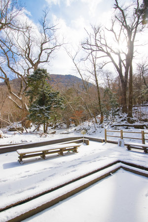 Beautiful winter landscapeの写真素材
