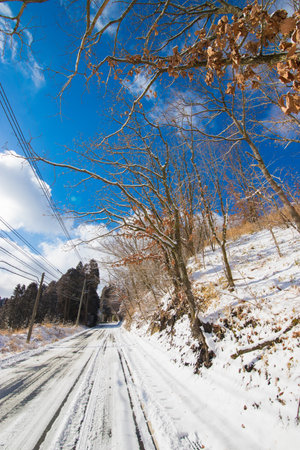 Landscape of winter forest and small riverの写真素材