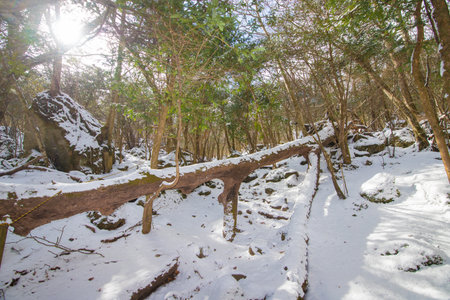 Hachimantai hot spring in winterの写真素材