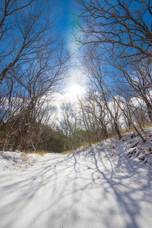 Winter landscape with snow-covered road and blue sky with sun raysの写真素材
