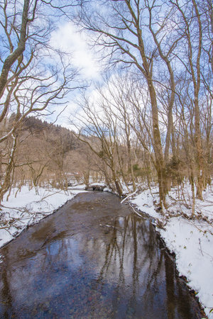 Winter road in the mountains with snow on the ground and blue skyの写真素材