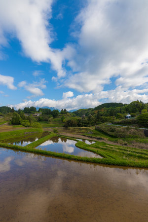 Paddy fields and reflection (Taketa City, Oita Prefecture)の写真素材