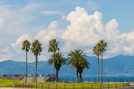 Summer clouds on the beach in Oita City, Oita Prefecture, Japanの写真素材