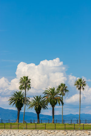 Summer clouds on the beach in Oita City, Oita Prefecture, Japanの写真素材