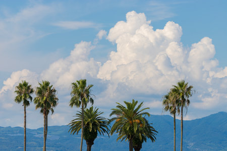 Summer clouds on the beach in Oita City, Oita Prefecture, Japanの写真素材