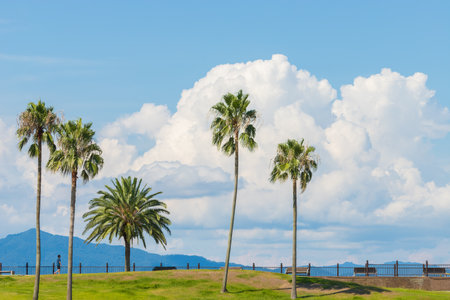 Summer clouds on the beach in Oita City, Oita Prefecture, Japanの写真素材