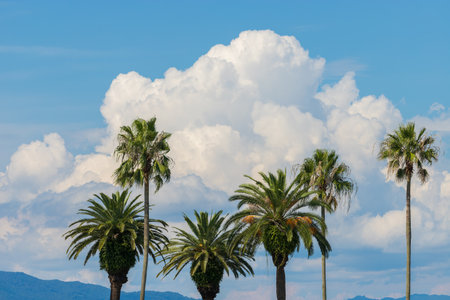 Summer clouds on the beach in Oita City, Oita Prefecture, Japanの写真素材