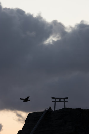 Silhouette of a japanese shrine with a flying birdの写真素材