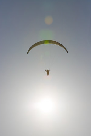 Paragliders flying in the skyの写真素材