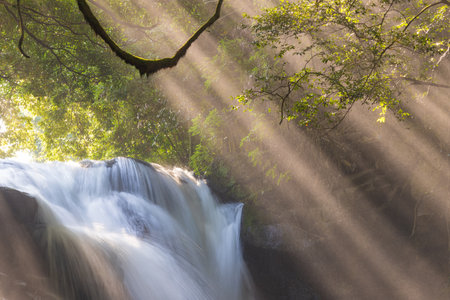 Waterfall and rays of lightの写真素材