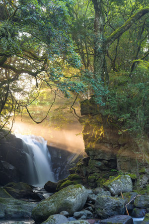 Waterfall and rays of lightの写真素材
