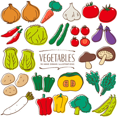 Vegetables hand drawn color illustrationのイラスト素材