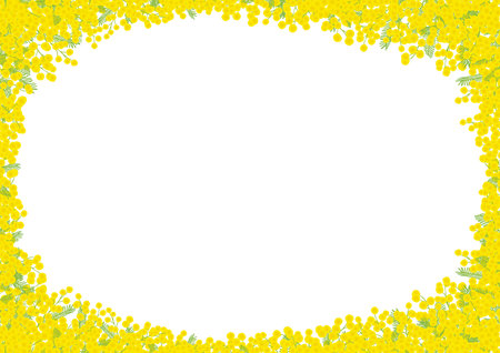 Mimosa hand drawn vector frameの写真素材